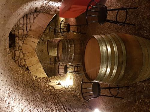 Venez découvrir nos vins à La Charité-sur-Loire